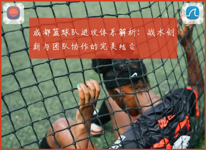 成都篮球队进攻体系解析:战术创新与团队协作的完美结合