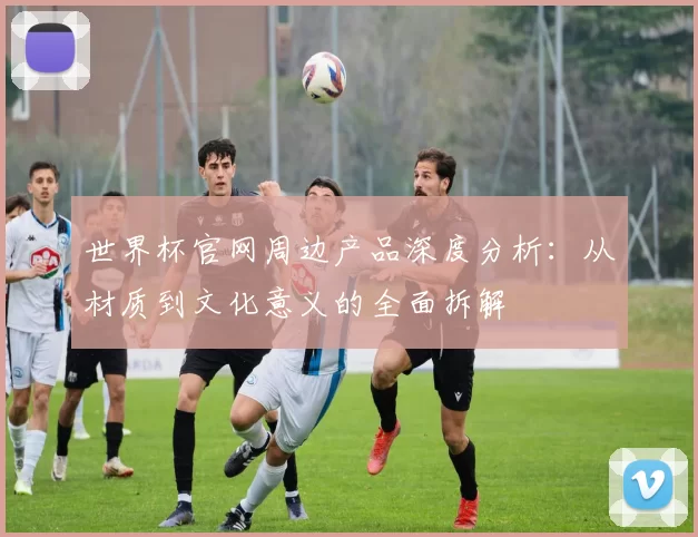 世界杯官网周边产品深度分析:从材质到文化意义的全面拆解
