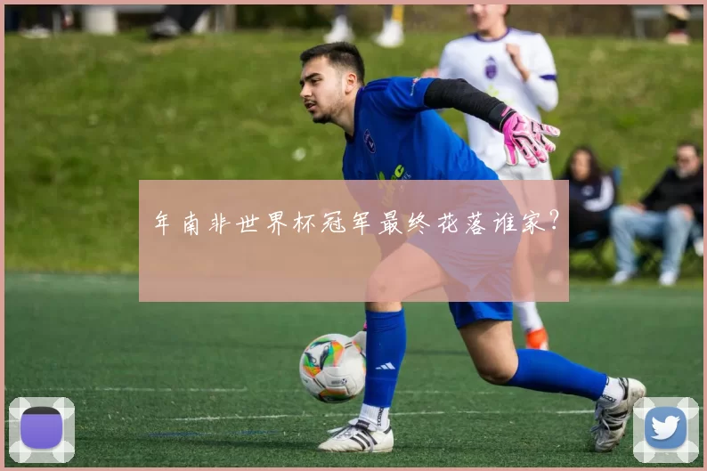 年南非世界杯冠军最终花落谁家？
