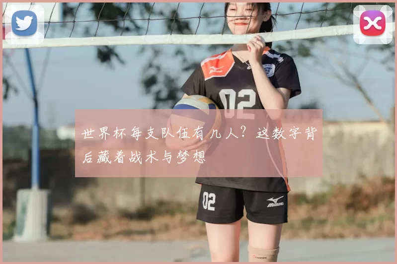 世界杯每支队伍有几人？这数字背后藏着战术与梦想