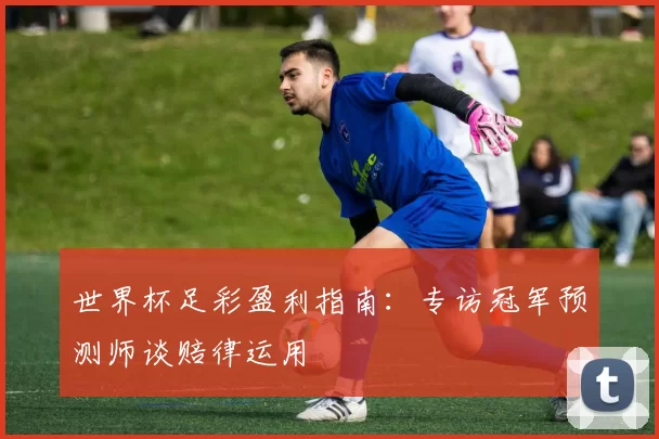 世界杯足彩盈利指南:专访冠军预测师谈赔律运用