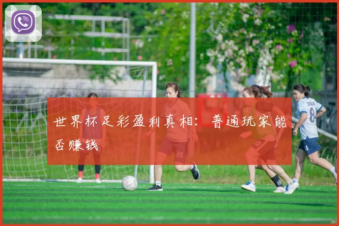 世界杯足彩盈利真相：普通玩家能否赚钱