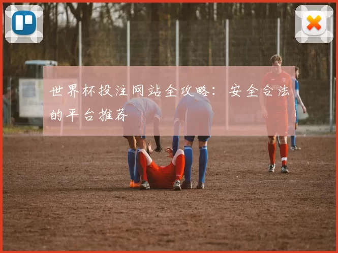 世界杯投注网站全攻略：安全合法的平台推荐