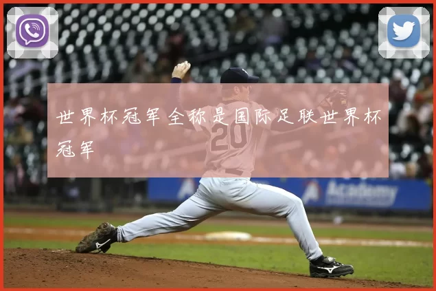 世界杯冠军全称是国际足联世界杯冠军