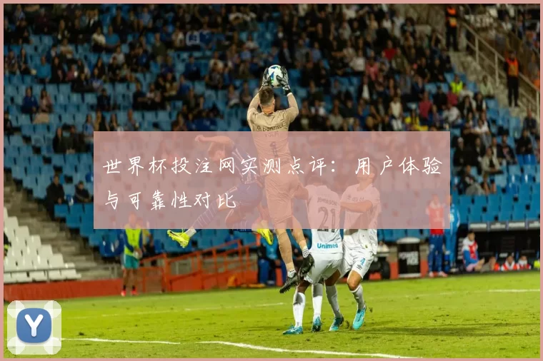 世界杯投注网实测点评:用户体验与可靠性对比