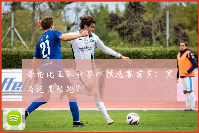 哥伦比亚队世界杯预选赛前景：黑马还是陪跑？
