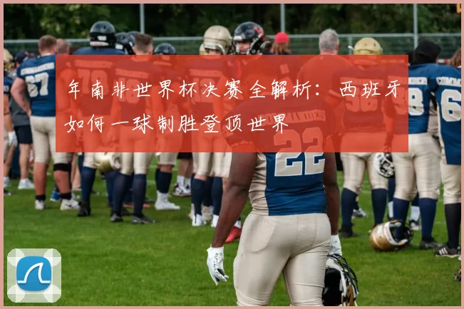 年南非世界杯决赛全解析：西班牙如何一球制胜登顶世界