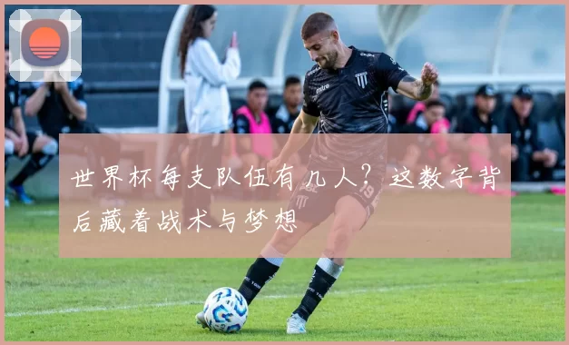 世界杯每支队伍有几人?这数字背后藏着战术与梦想