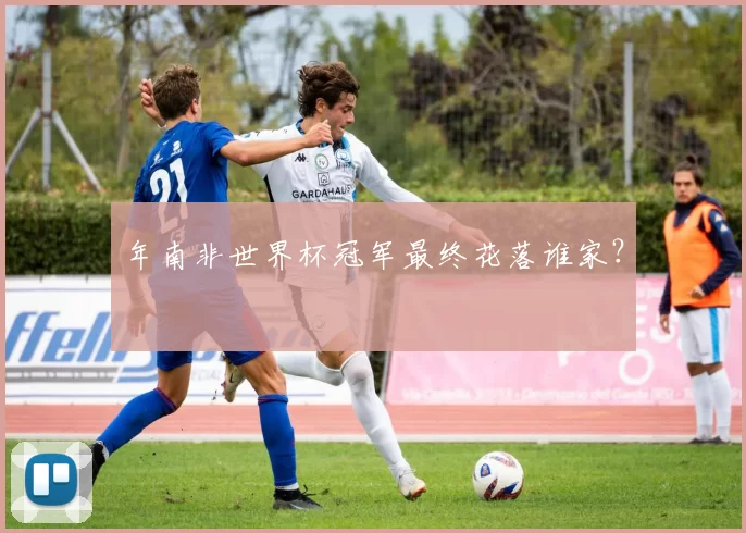 年南非世界杯冠军最终花落谁家？