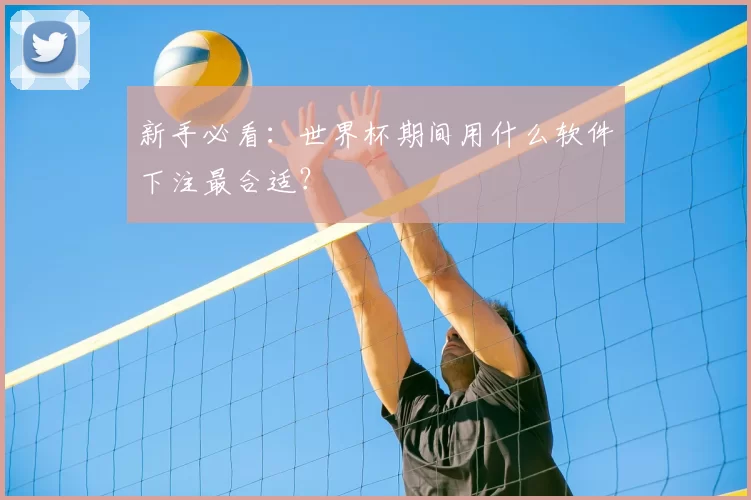 新手必看:世界杯期间用什么软件下注最合适?