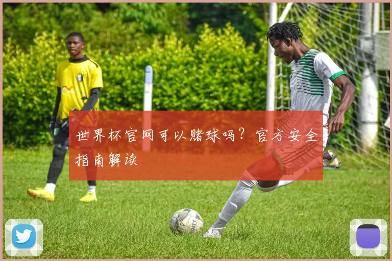 世界杯官网可以赌球吗?官方安全指南解读