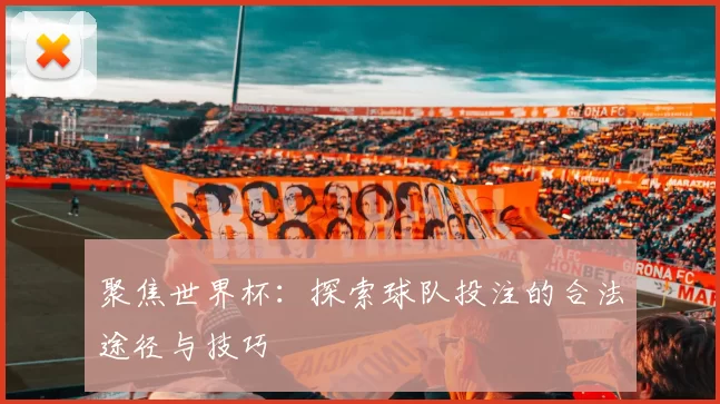 聚焦世界杯：探索球队投注的合法途径与技巧