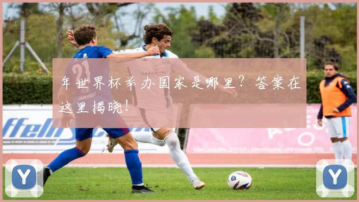 年世界杯举办国家是哪里?答案在这里揭晓!