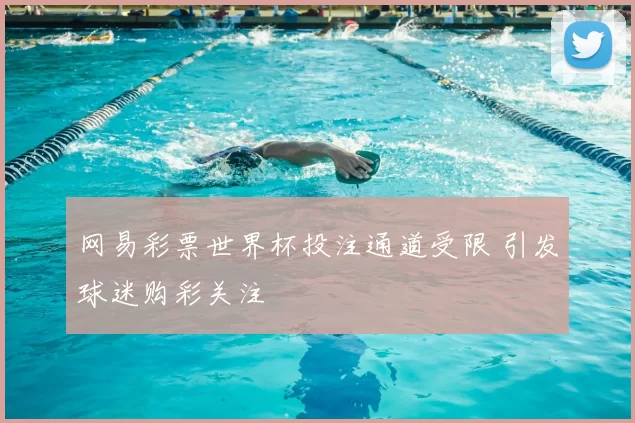 网易彩票世界杯投注通道受限 引发球迷购彩关注